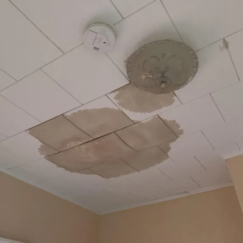 Ceiling Water Damage Repair in Wayne County, MI