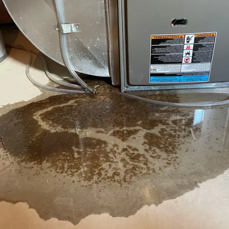 Pipe Burst and Leak Restoration in Wayne County, MI