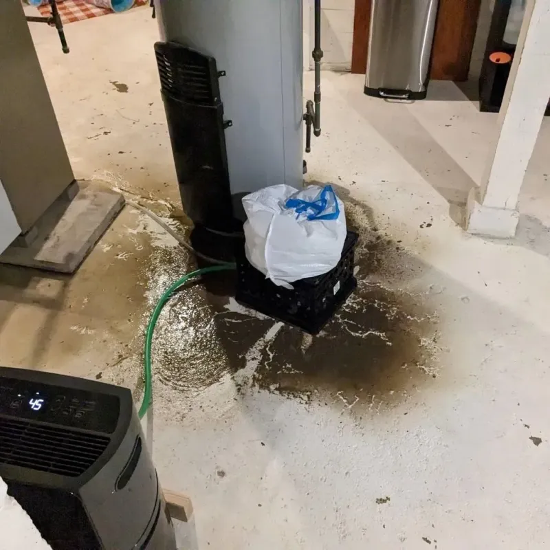 Sewage Backup Cleanup Service in Wayne County, MI
